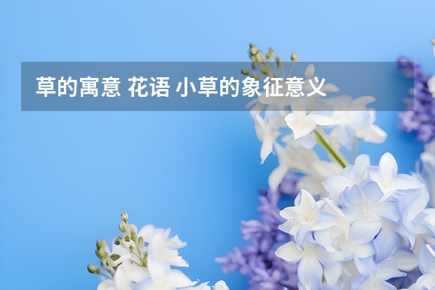 草的寓意 花语 小草的象征意义