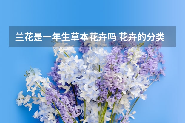 兰花是一年生草本花卉吗 花卉的分类方法有哪些？？？？