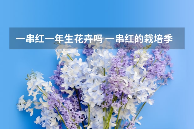 一串红一年生花卉吗 一串红的栽培季节是什么时候