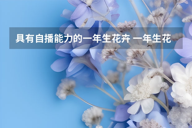 具有自播能力的一年生花卉 一年生花卉有哪些