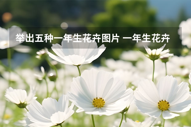 举出五种一年生花卉图片 一年生花卉有哪些