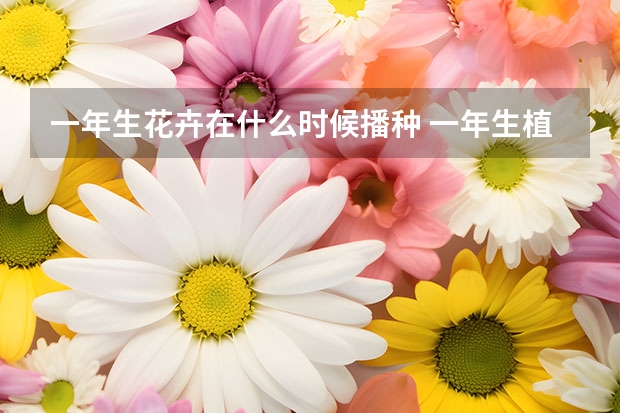 一年生花卉在什么时候播种 一年生植物什么时候播种