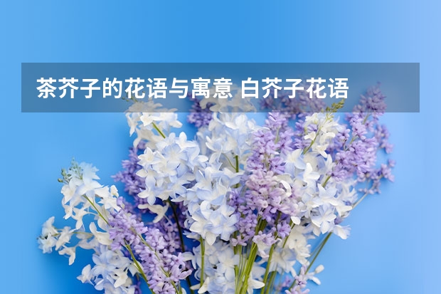 茶芥子的花语与寓意 白芥子花语