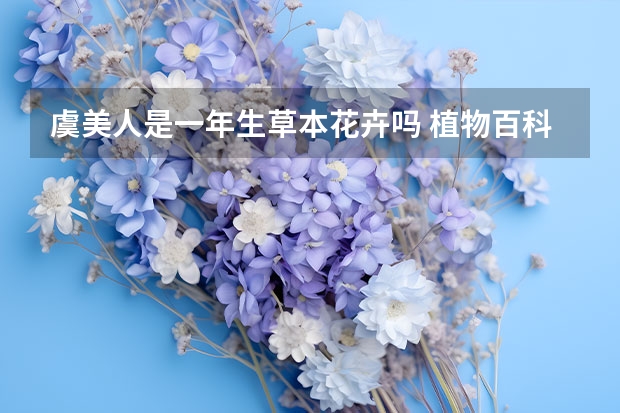 虞美人是一年生草本花卉吗 植物百科:虞美人