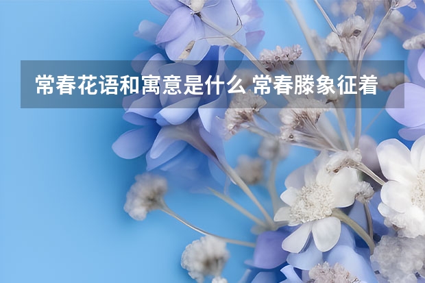 常春花语和寓意是什么 常春滕象征着什么