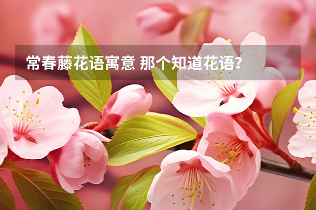 常春藤花语寓意 那个知道花语？