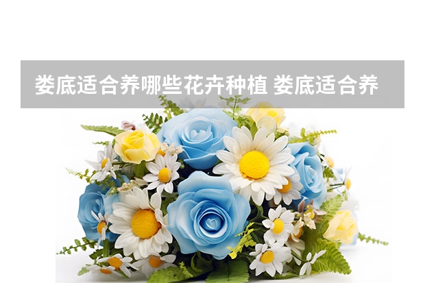 娄底适合养哪些花卉种植 娄底适合养什么花，市花和市树是什么