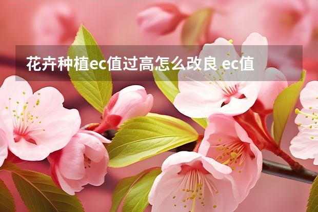 花卉种植ec值过高怎么改良 ec值是什么意思