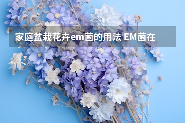 家庭盆栽花卉em菌的用法 EM菌在种植业上的具体使用方法