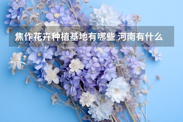 焦作花卉种植基地有哪些 河南有什么地方号称花木之乡