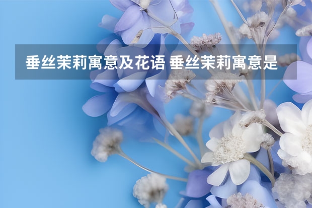 垂丝茉莉寓意及花语 垂丝茉莉寓意是什么？