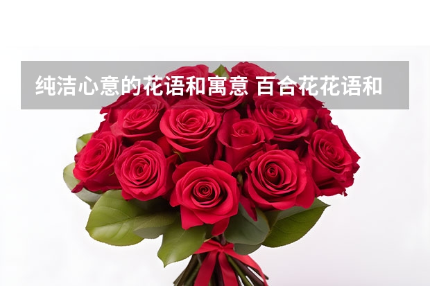 纯洁心意的花语和寓意 百合花花语和寓意是什么