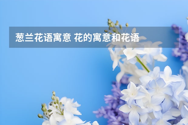 葱兰花语寓意 花的寓意和花语