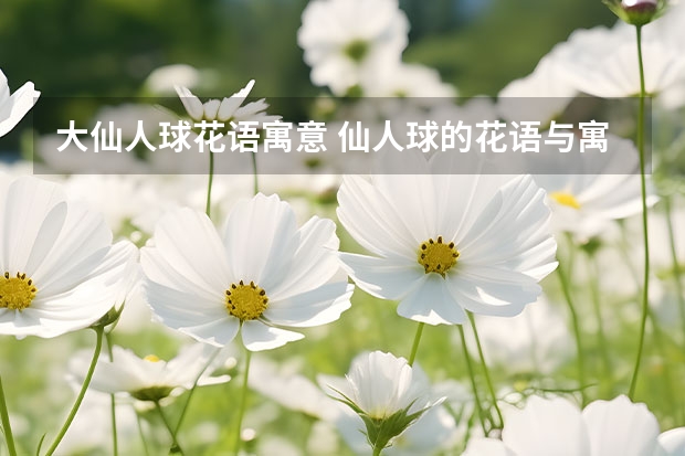 大仙人球花语寓意 仙人球的花语与寓意