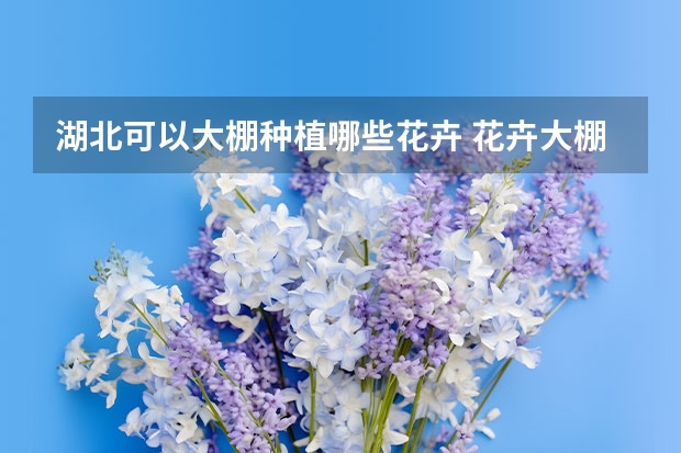 湖北可以大棚种植哪些花卉 花卉大棚适合种植什么？