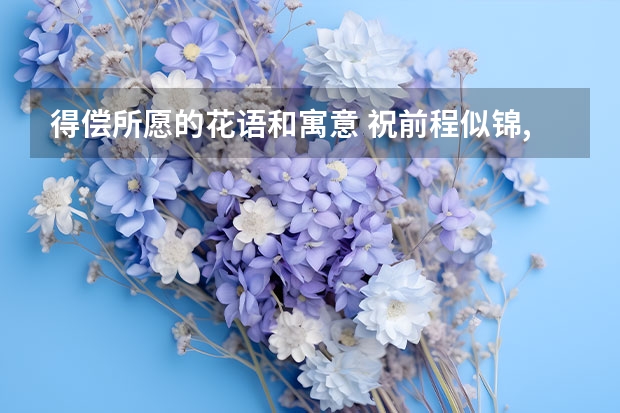 得偿所愿的花语和寓意 祝前程似锦,得偿所愿是什么意思