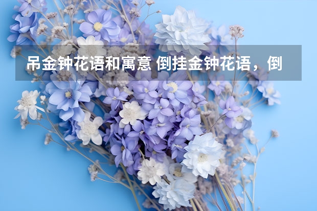 吊金钟花语和寓意 倒挂金钟花语，倒挂金钟花语寓意