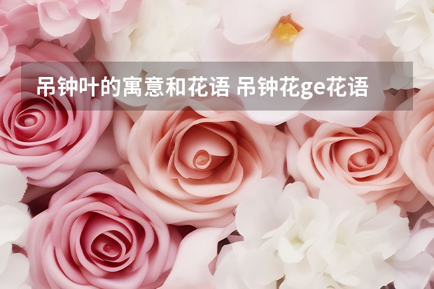 吊钟叶的寓意和花语 吊钟花ge花语,传说,....