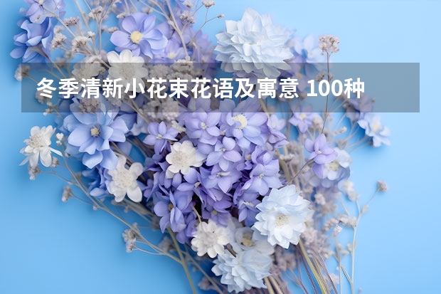 冬季清新小花束花语及寓意 100种鲜花的花语 送花必须看赶紧收藏