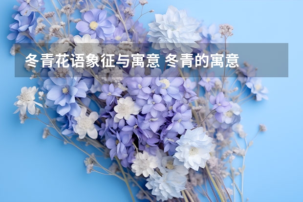 冬青花语象征与寓意 冬青的寓意