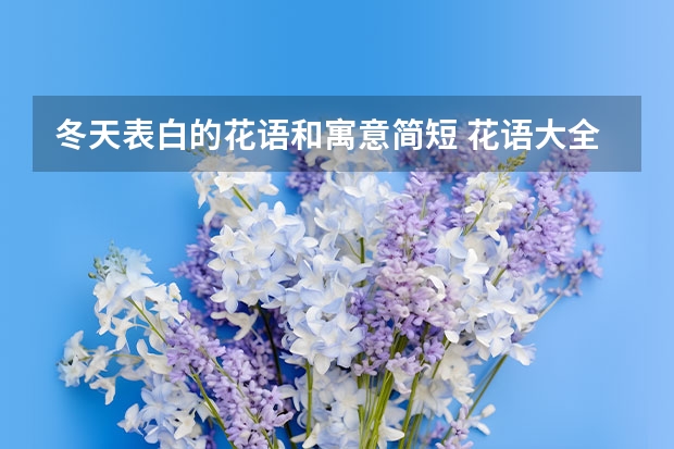 冬天表白的花语和寓意简短 花语大全：什么花代表爱情