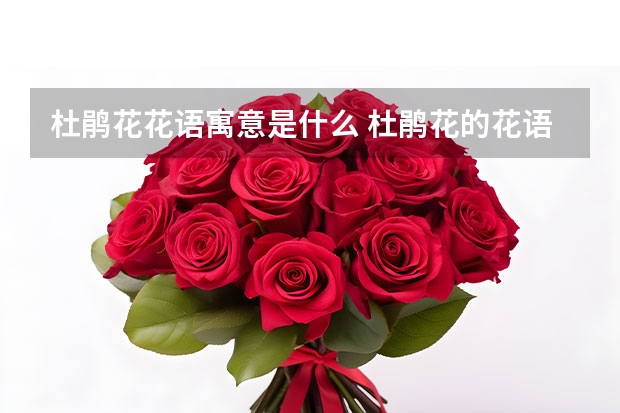 杜鹃花花语寓意是什么 杜鹃花的花语是什么