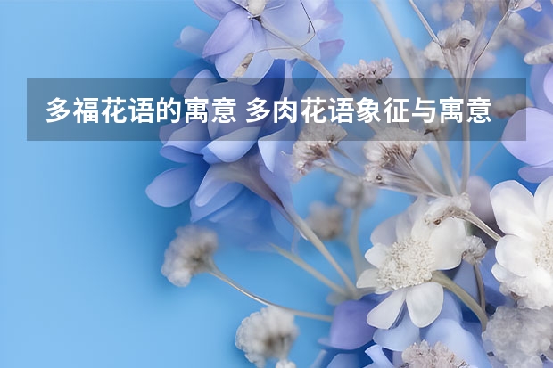 多福花语的寓意 多肉花语象征与寓意