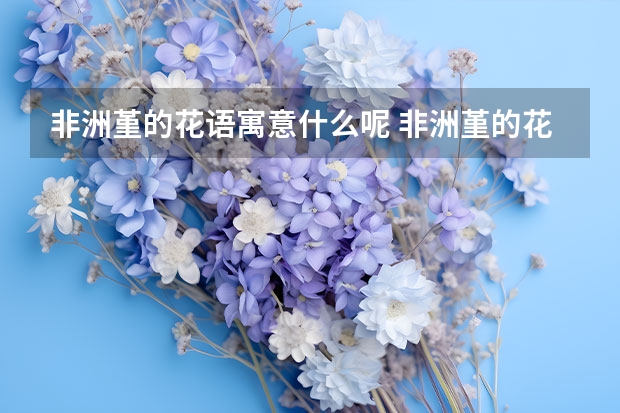 非洲堇的花语寓意什么呢 非洲堇的花语和传说