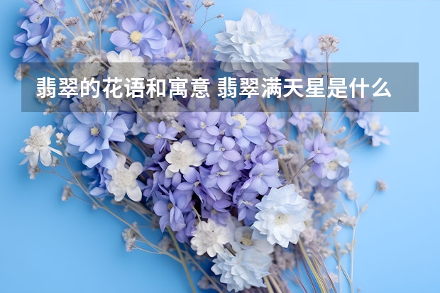 翡翠的花语和寓意 翡翠满天星是什么意思