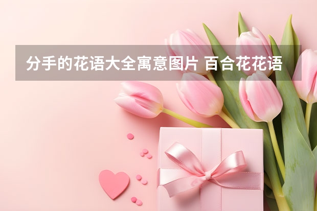 分手的花语大全寓意图片 百合花花语和寓意是什么 百合花花语和寓意是啥