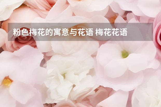 粉色梅花的寓意与花语 梅花花语