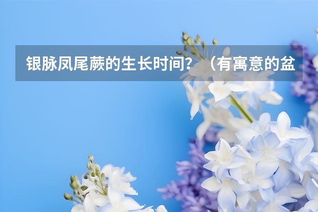 银脉凤尾蕨的生长时间？（有寓意的盆栽或名字中含有为wei的谐音）