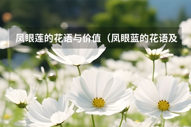 凤眼莲的花语与价值（凤眼蓝的花语及价值）