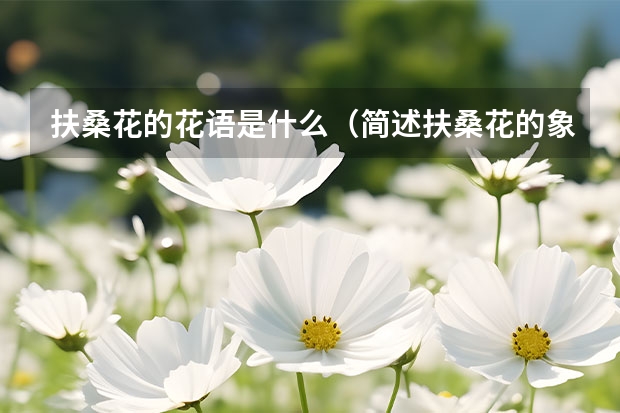 扶桑花的花语是什么（简述扶桑花的象征和寓意）