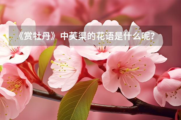 《赏牡丹》中芙渠的花语是什么呢？