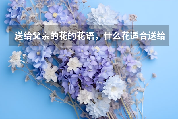 送给父亲的花的花语，什么花适合送给父亲