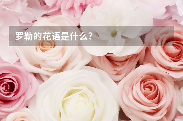 罗勒的花语是什么?