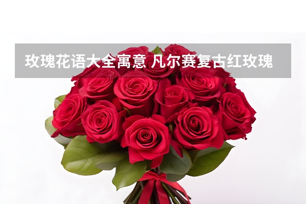 玫瑰花语大全寓意 凡尔赛复古红玫瑰花语 各种颜色玫瑰含义（玫瑰花的寓意和象征）
