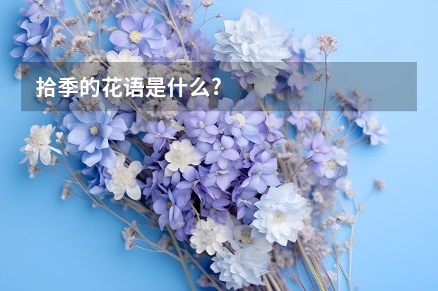 拾季的花语是什么?