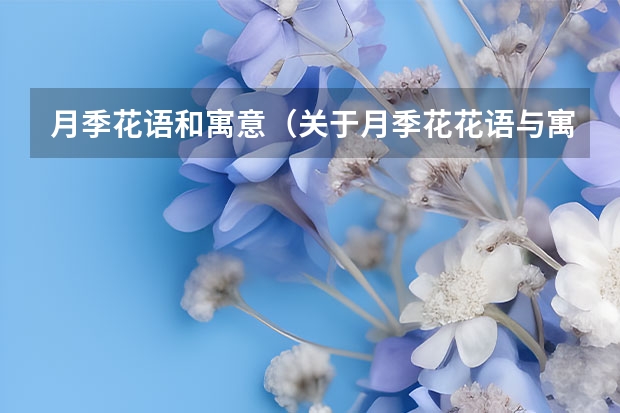 月季花语和寓意（关于月季花花语与寓意）