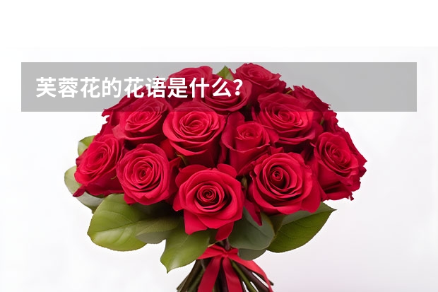 芙蓉花的花语是什么？