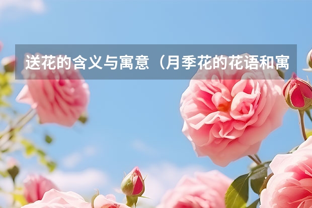 送花的含义与寓意（月季花的花语和寓意？）