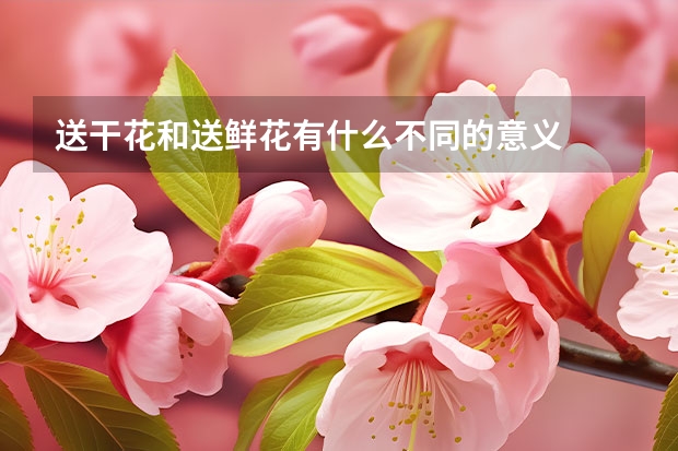 送干花和送鲜花有什么不同的意义