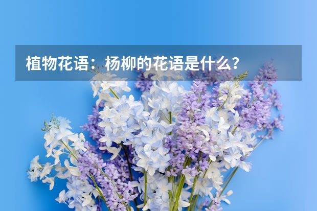 植物花语：杨柳的花语是什么？