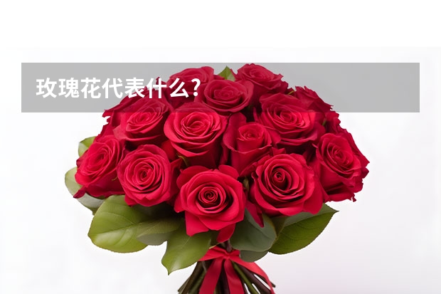 玫瑰花代表什么?