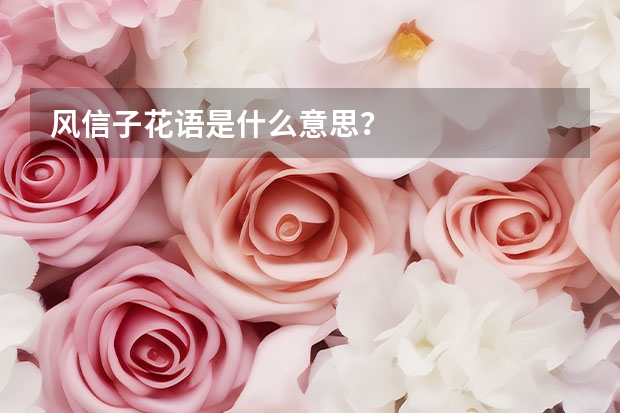 风信子花语是什么意思？