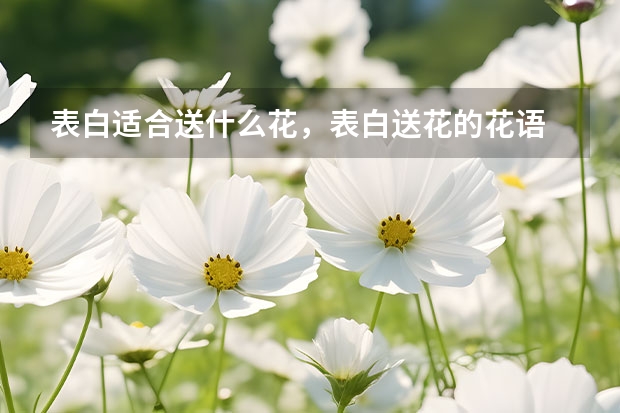 表白适合送什么花，表白送花的花语