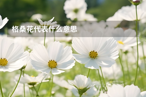 格桑花代表什么意思