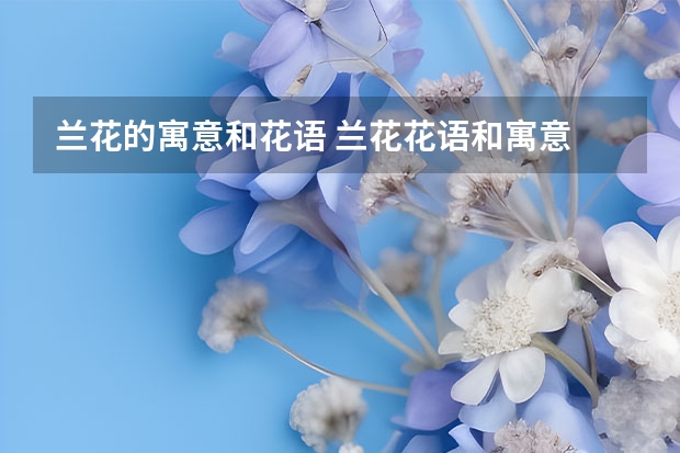 兰花的寓意和花语 兰花花语和寓意 兰花的花语和象征意义