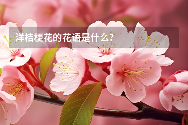 洋桔梗花的花语是什么？